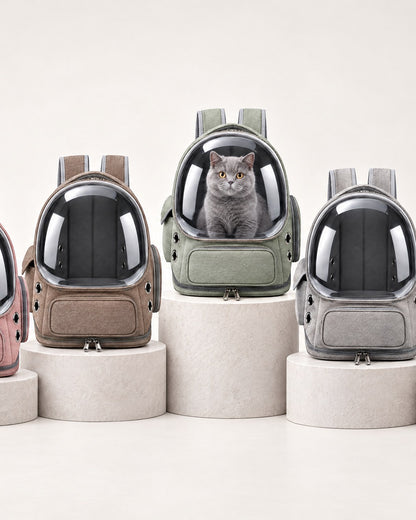Transparent Pet Cat Carrier